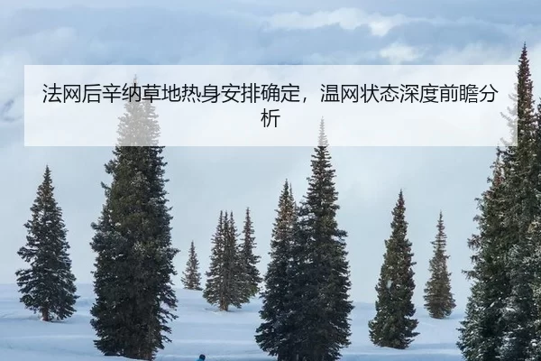 fa-wang-hou-xin-na-cao-di-re-shen-an-pai-que-ding-wen-wang-zhuang-tai-shen-du-qian-zhan-fen-xi-2-770.jpg